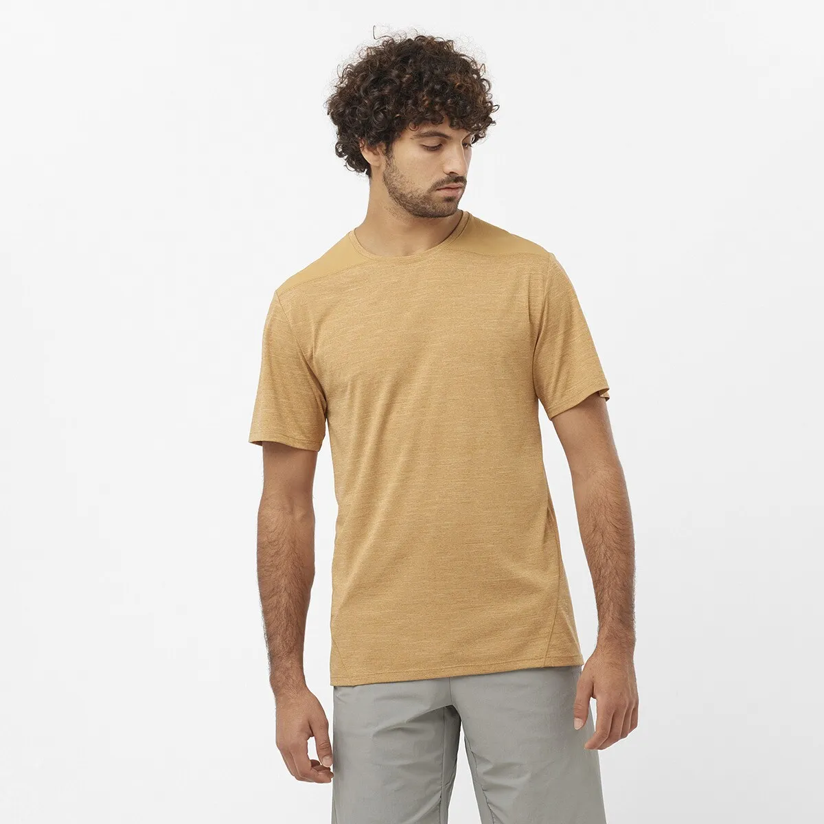 Мужская футболка Salomon Outline, коричневый
Мужская футболка Salomon Outline, коричневый