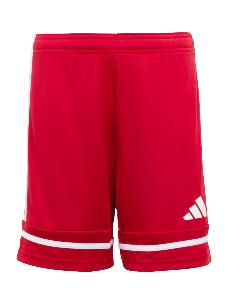 Обычные спортивные штаны ADIDAS PERFORMANCE Squadra 25, Carmine Red
Обычные спортивные штаны ADIDAS PERFORMANCE Squadra 25, Carmine Red