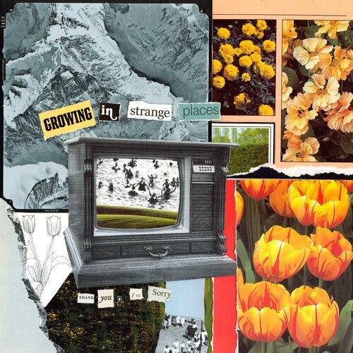 Виниловая пластинка Thank You, I'M Sorry - Growing In Strange Places - Orange Crush
Виниловая пластинка Thank You, I'M Sorry - Growing In Strange Places - Orange Crush
