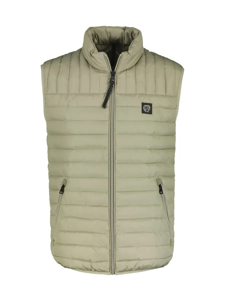 Стеганый жилет LERROS "Легкий мужской стеганый жилет LERROS", цвет Gentle Reed
Стеганый жилет LERROS "Легкий мужской стеганый жилет LERROS", цвет Gentle Reed