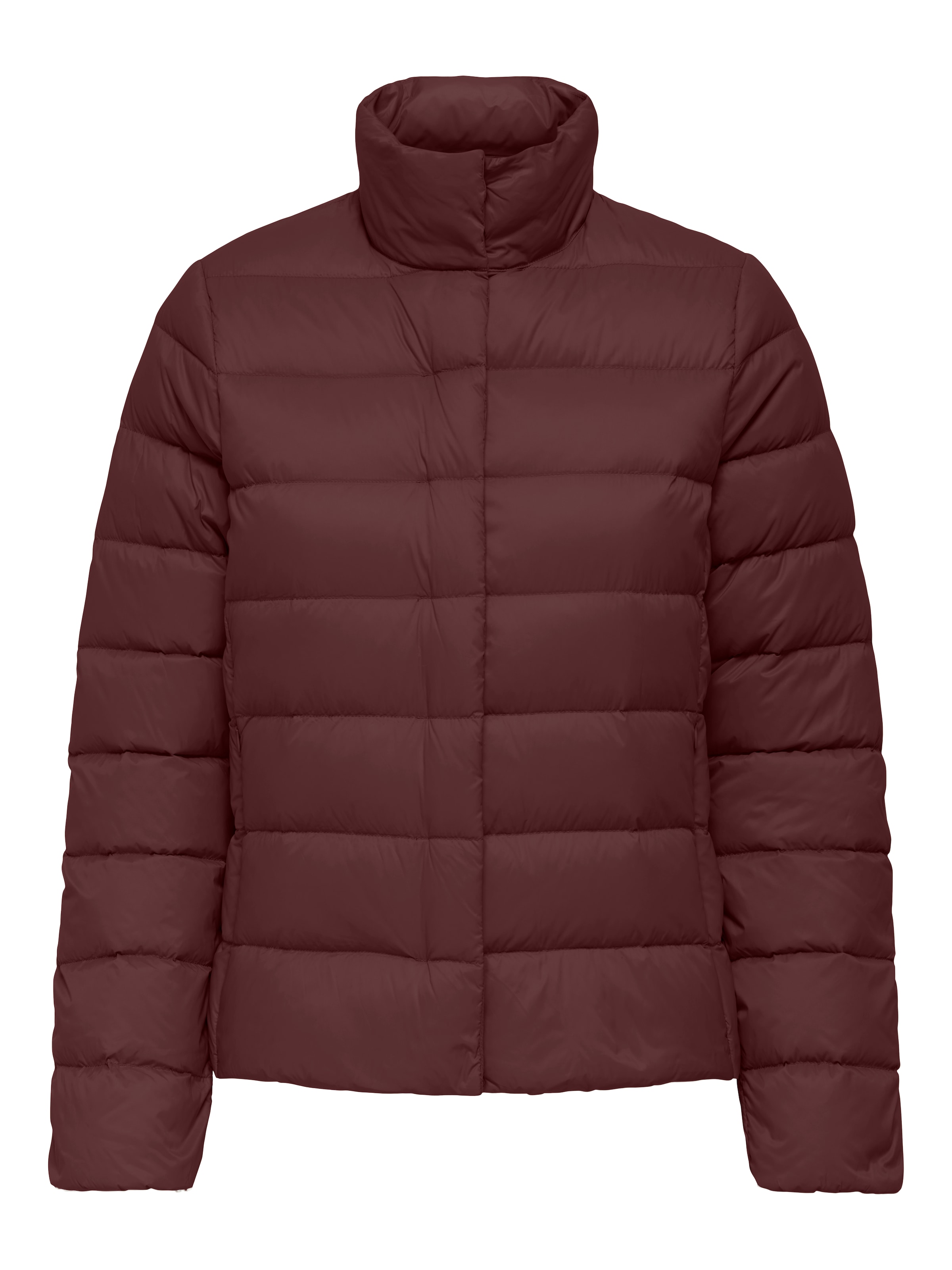 ONLY Зимняя куртка 'ONLRuby' в цвете Berry
ONLY Зимняя куртка 'ONLRuby' в цвете Berry