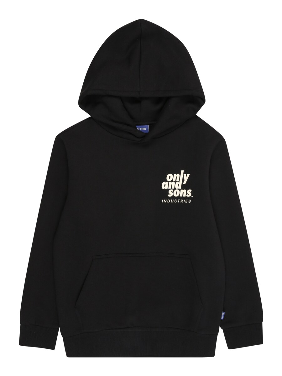 Толстовка Only & Sons Junior HUDSON, черный
Толстовка Only & Sons Junior HUDSON, черный