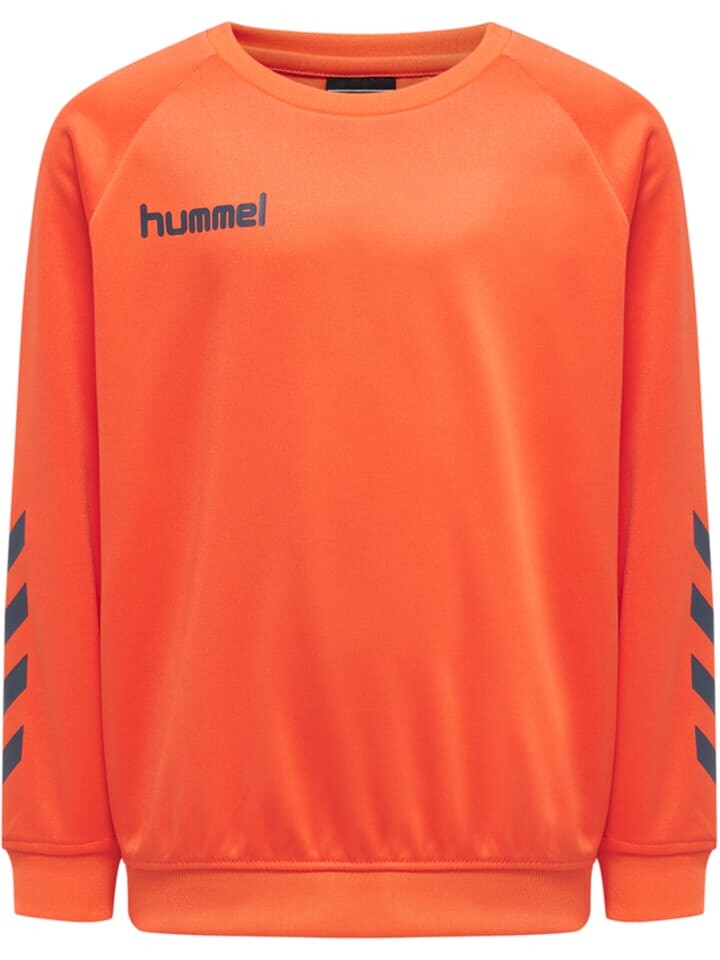 Толстовка Hummel Raglanärmel Hmlpromo Multisport Kinder, цвет nasturtium **do not use
Толстовка Hummel Raglanärmel Hmlpromo Multisport Kinder, цвет nasturtium **do not use