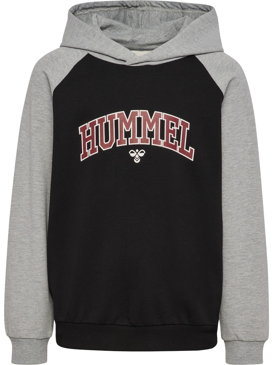 Толстовка Hummel Essen, черный
Толстовка Hummel Essen, черный