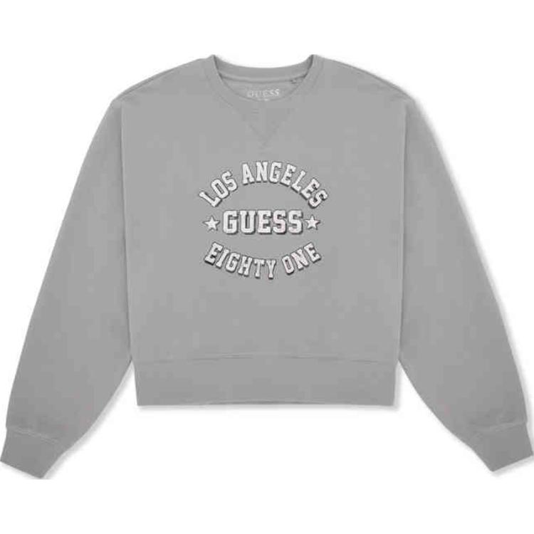 GUESS Свитшот женский сине-серый
GUESS Свитшот женский сине-серый