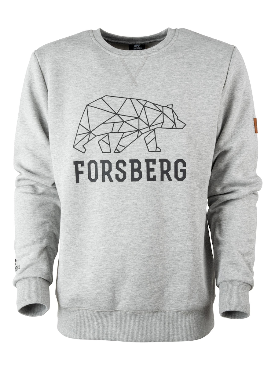 Толстовка FORSBERG Bertson mit Logo, светло-серый
Толстовка FORSBERG Bertson mit Logo, светло-серый