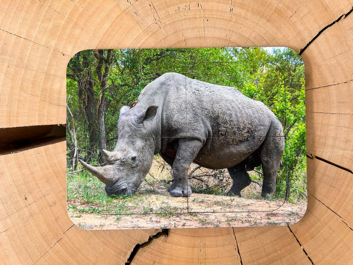 Носорог, деревянный пазл с четырьмя элементами, основа с подписью, первый пазл Inna marka
Носорог, деревянный пазл с четырьмя элементами, основа с подписью, первый пазл Inna marka