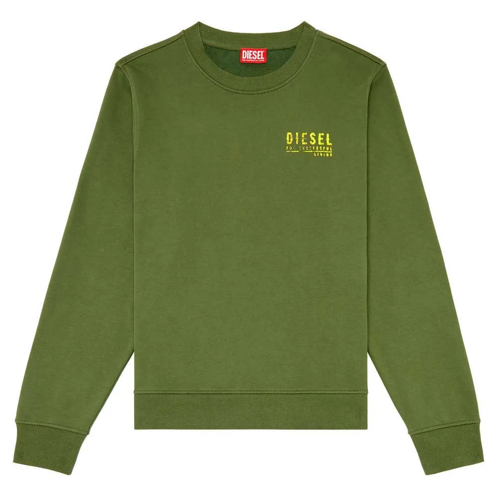 Толстовка Diesel Ginn K42, зеленый
Толстовка Diesel Ginn K42, зеленый
