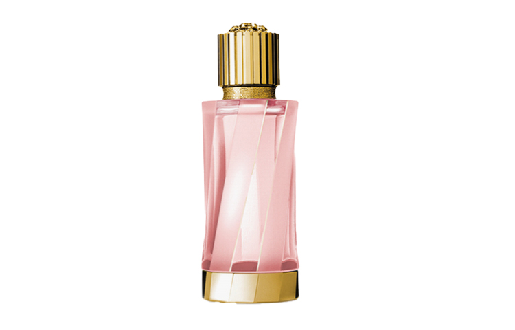 Парфюмерная вода Versace Atelier Versace Eclat De Rose, 100 мл
Парфюмерная вода Versace Atelier Versace Eclat De Rose, 100 мл