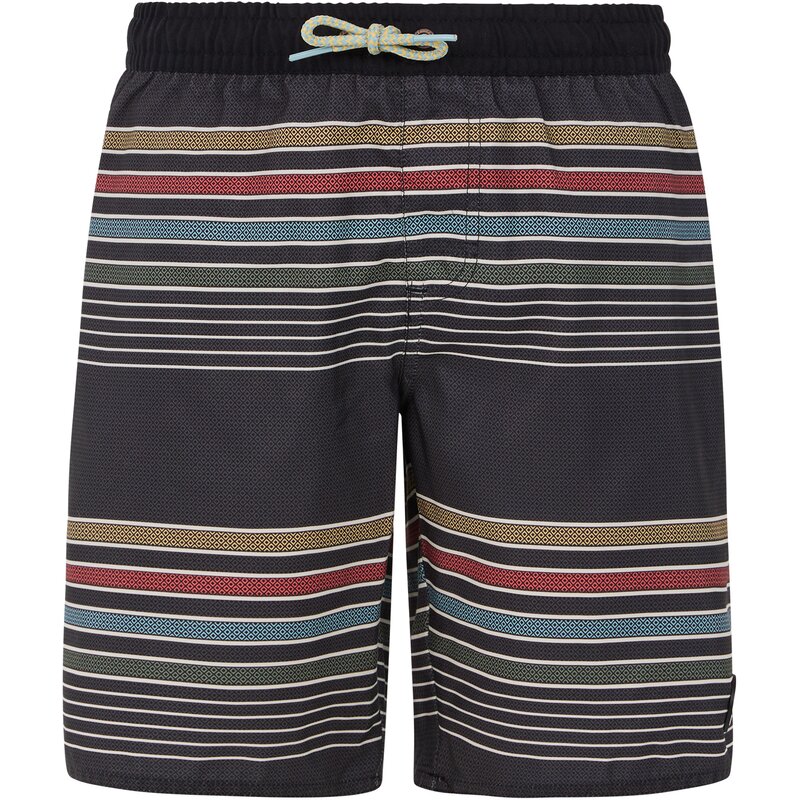 Шорты для плавания prtbanks jr Protest, черный
Шорты для плавания prtbanks jr Protest, черный