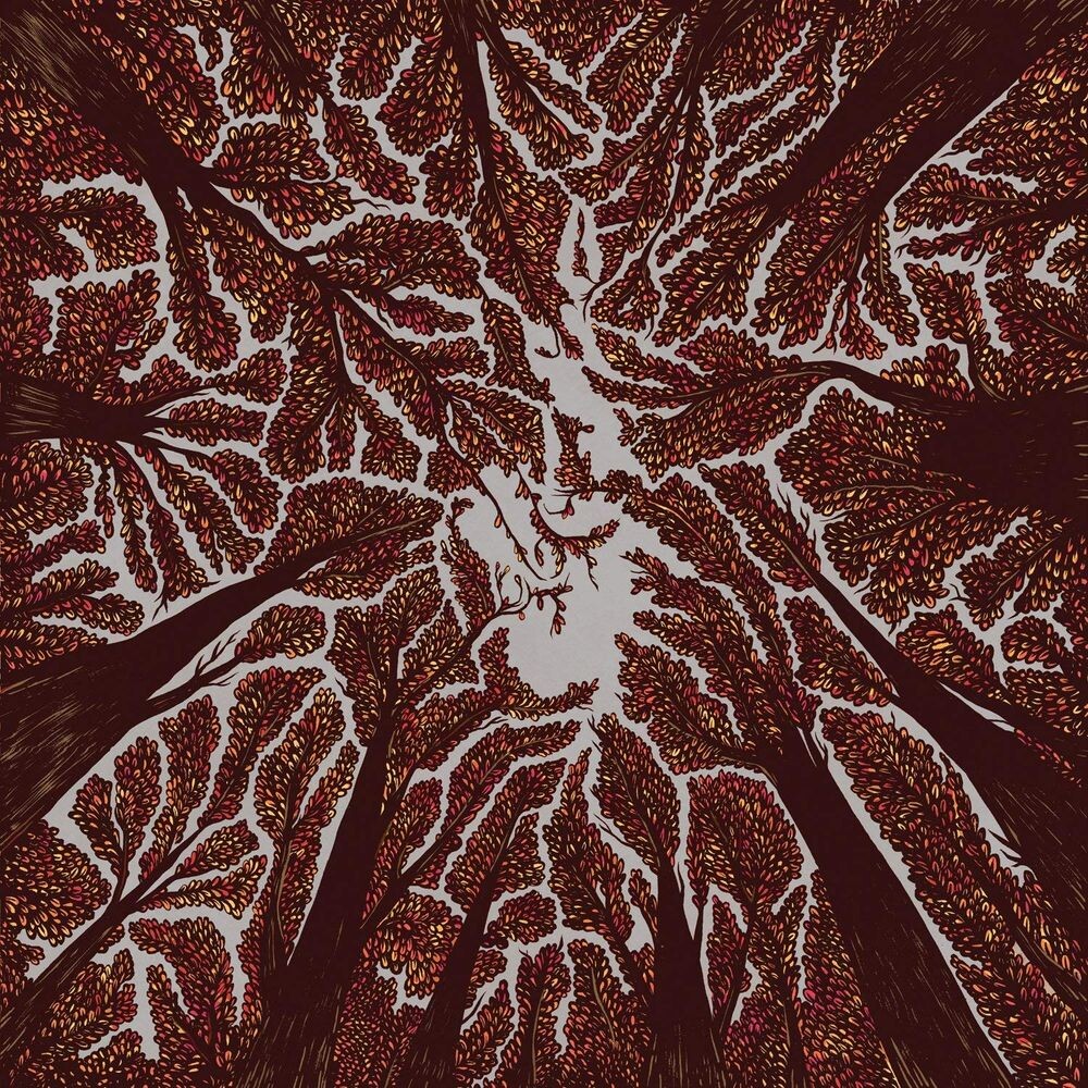Виниловая пластинка LP Crown Shyness - Trash Boat
Виниловая пластинка LP Crown Shyness - Trash Boat