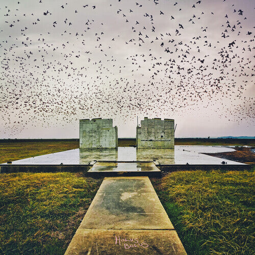 Виниловая пластинка Lord Buffalo: Holus Bolus
Виниловая пластинка Lord Buffalo: Holus Bolus