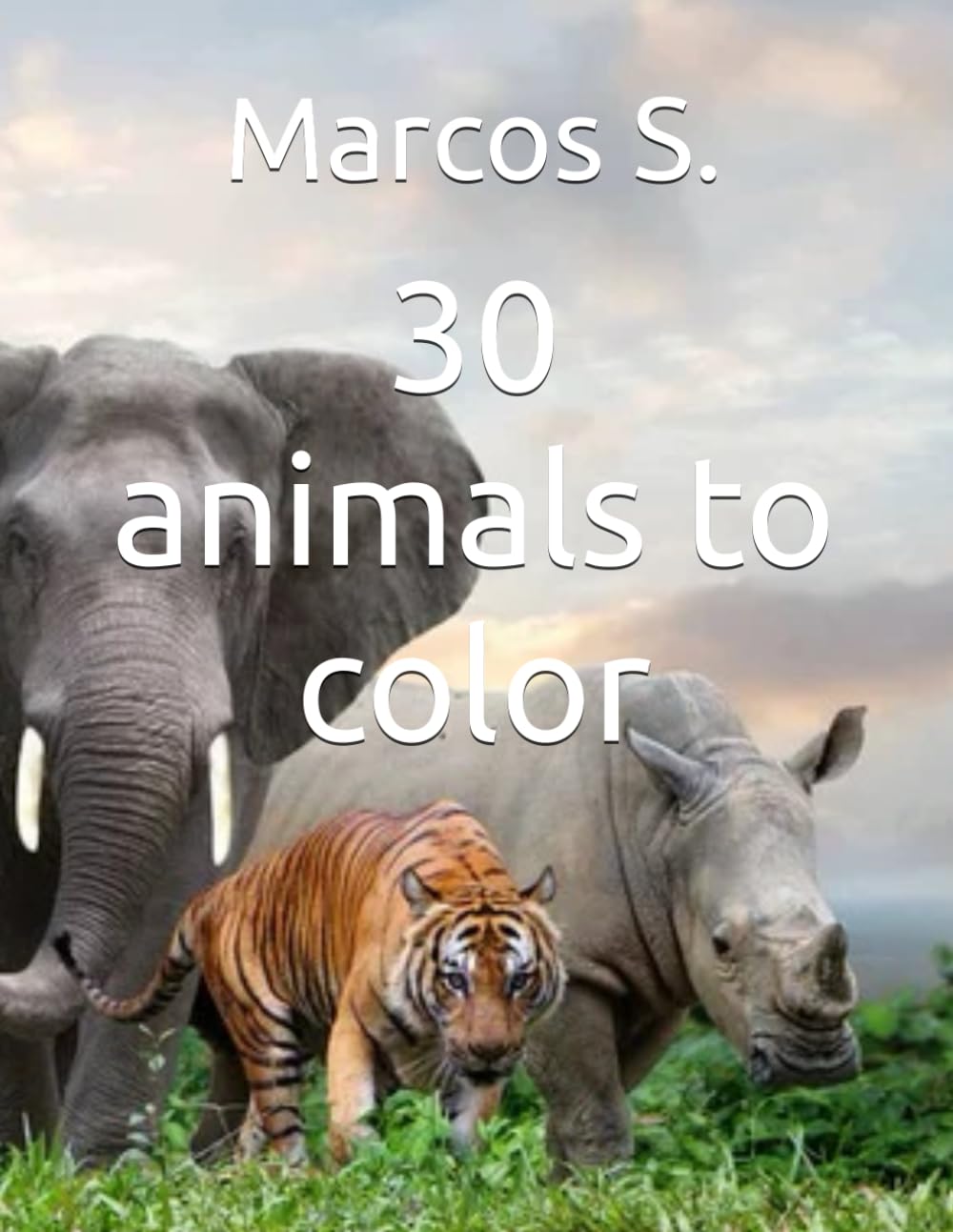 30 animals to color (Independently published)
30 animals to color (Independently published)