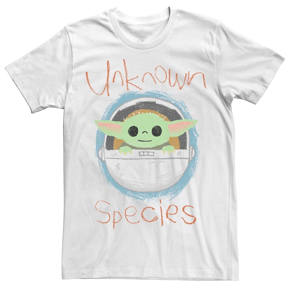 Мужская футболка с рисунком «Звездные войны, мандалорец, ребенок, неизвестный вид» Star Wars, белый
Мужская футболка с рисунком «Звездные войны, мандалорец, ребенок, неизвестный вид» Star Wars, белый