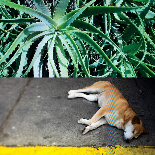 CD диск Bates, Steve: All The Things That Happen
CD диск Bates, Steve: All The Things That Happen