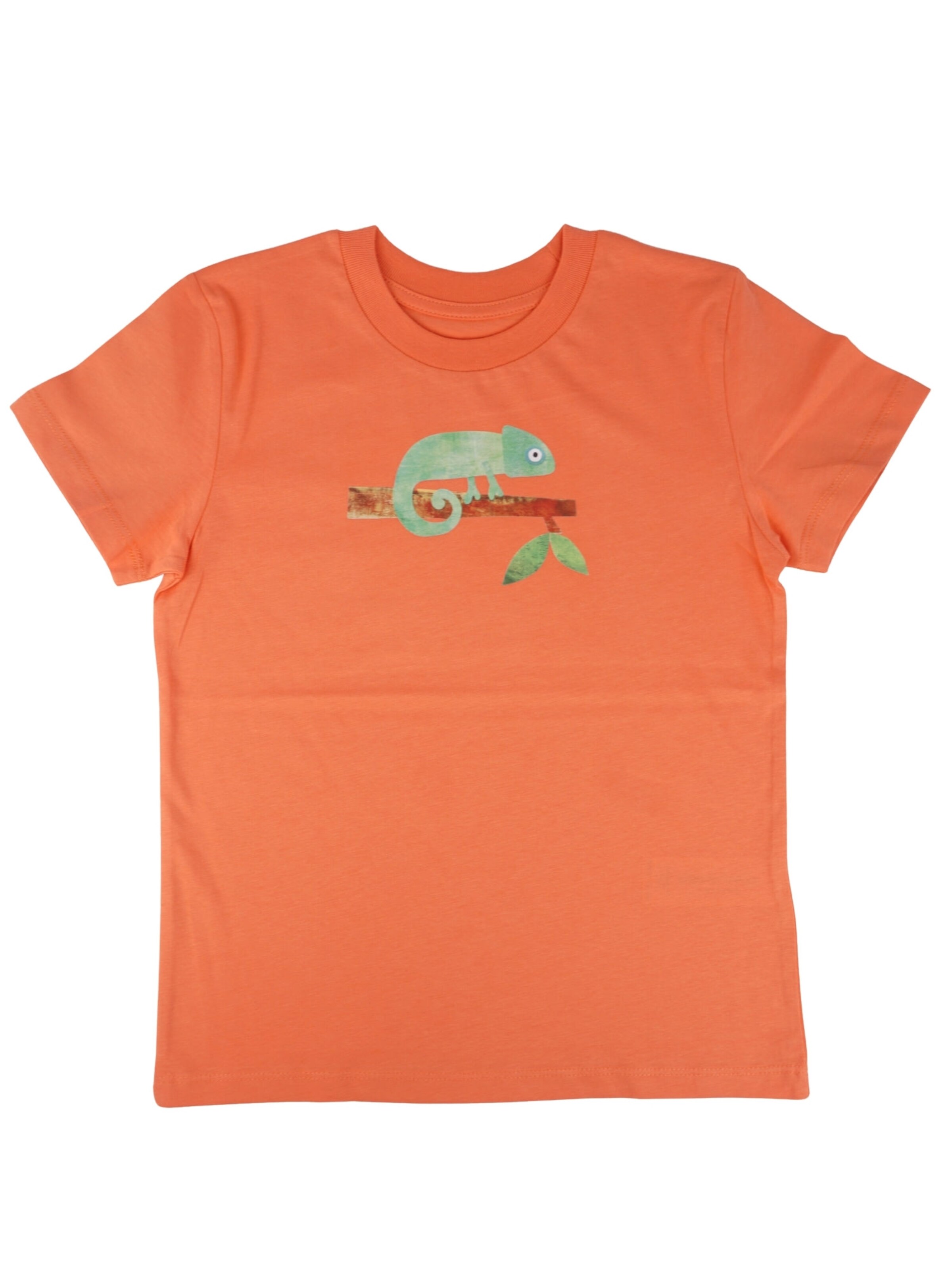 MelaDi Футболка 'Chameleon' в персиковом цвете
MelaDi Футболка 'Chameleon' в персиковом цвете