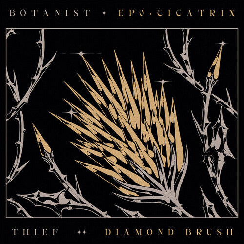 CD диск Botanist / Thief: Cicatrix / Diamond Brush
CD диск Botanist / Thief: Cicatrix / Diamond Brush