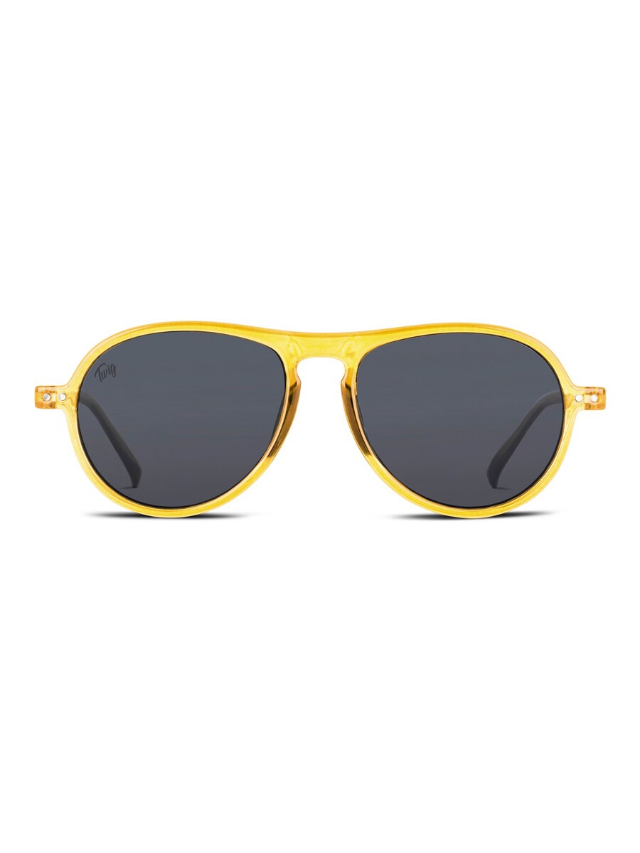 Солнцезащитные очки TWIG Concept Milano Thiele Sun, желтый
Солнцезащитные очки TWIG Concept Milano Thiele Sun, желтый