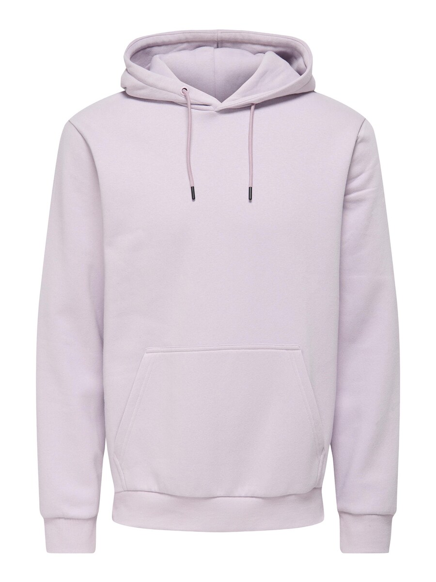 Толстовка обычного кроя Only & Sons Ceres, сиреневый
Толстовка обычного кроя Only & Sons Ceres, сиреневый