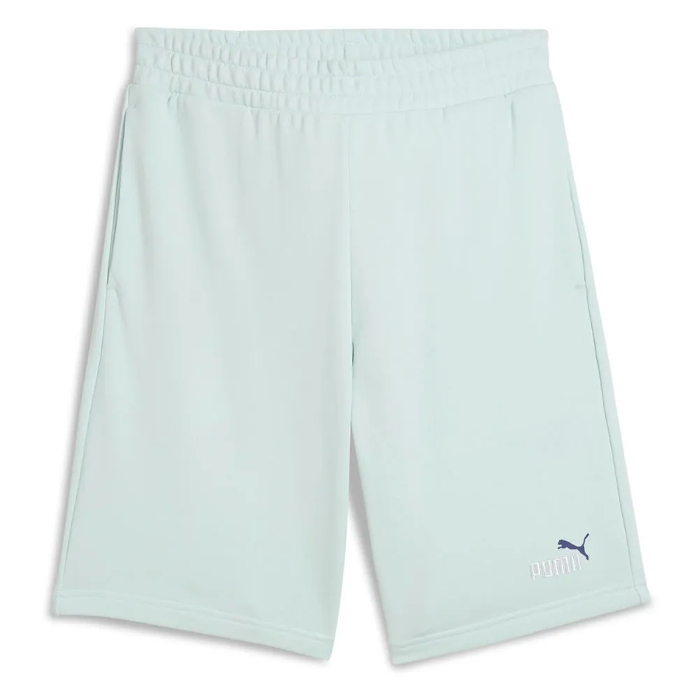 Шорты Puma Ess 2 Color No. 1 Logo 10´´, синий 
Шорты Puma Ess 2 Color No. 1 Logo 10´´, синий