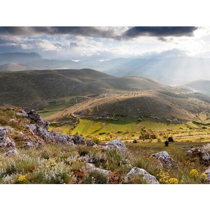 Натуральное льняное масло 50мл, Etja
Натуральное льняное масло 50мл, Etja