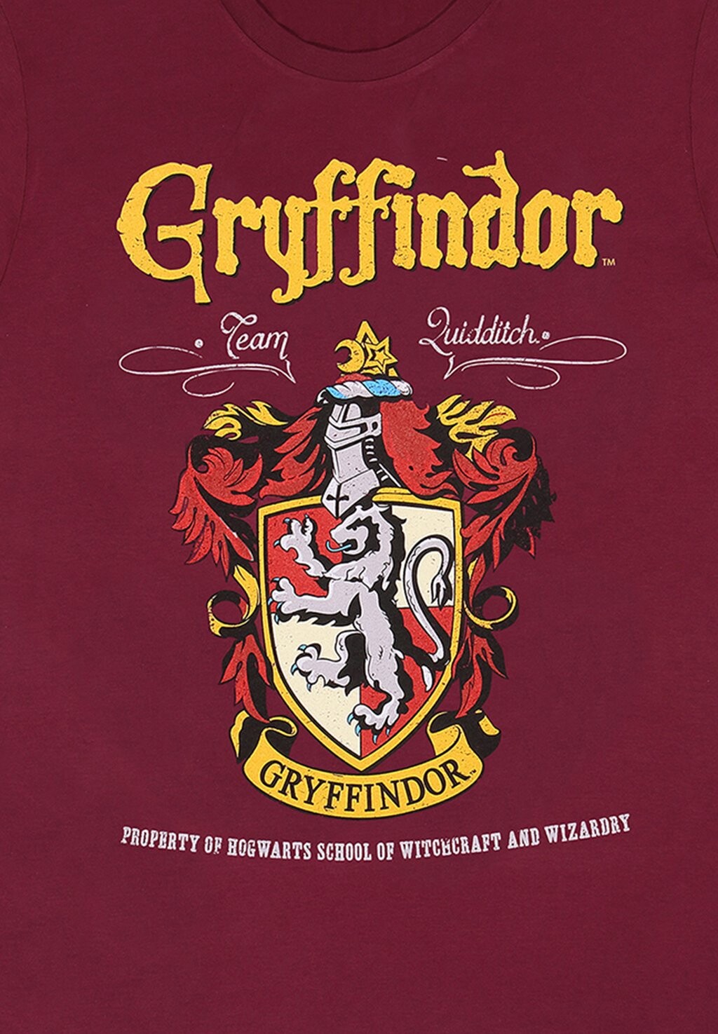 Футболка с принтом HARRY POTTER GRYFFINDOR RED CREST Harry Potter, бордовый
Футболка с принтом HARRY POTTER GRYFFINDOR RED CREST Harry Potter, бордовый