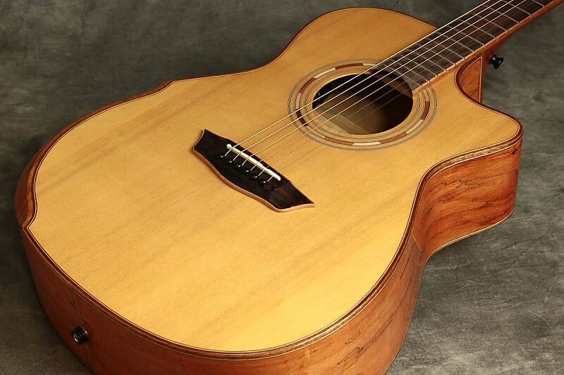 Акустическая гитара Washburn WCG66SCE Comfort Deluxe Series Solid Cedar Top Spalted 6-String Acoustic-Electric Guitar
Акустическая гитара Washburn WCG66SCE Comfort Deluxe Series Solid Cedar Top Spalted 6-String Acoustic-Electric Guitar