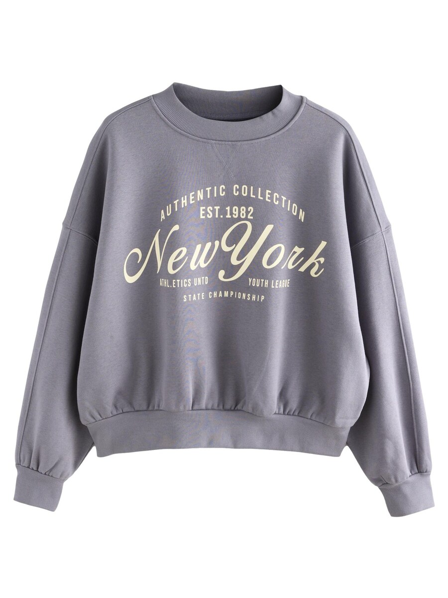 Толстовка Next, дымно-синий
Толстовка Next, дымно-синий