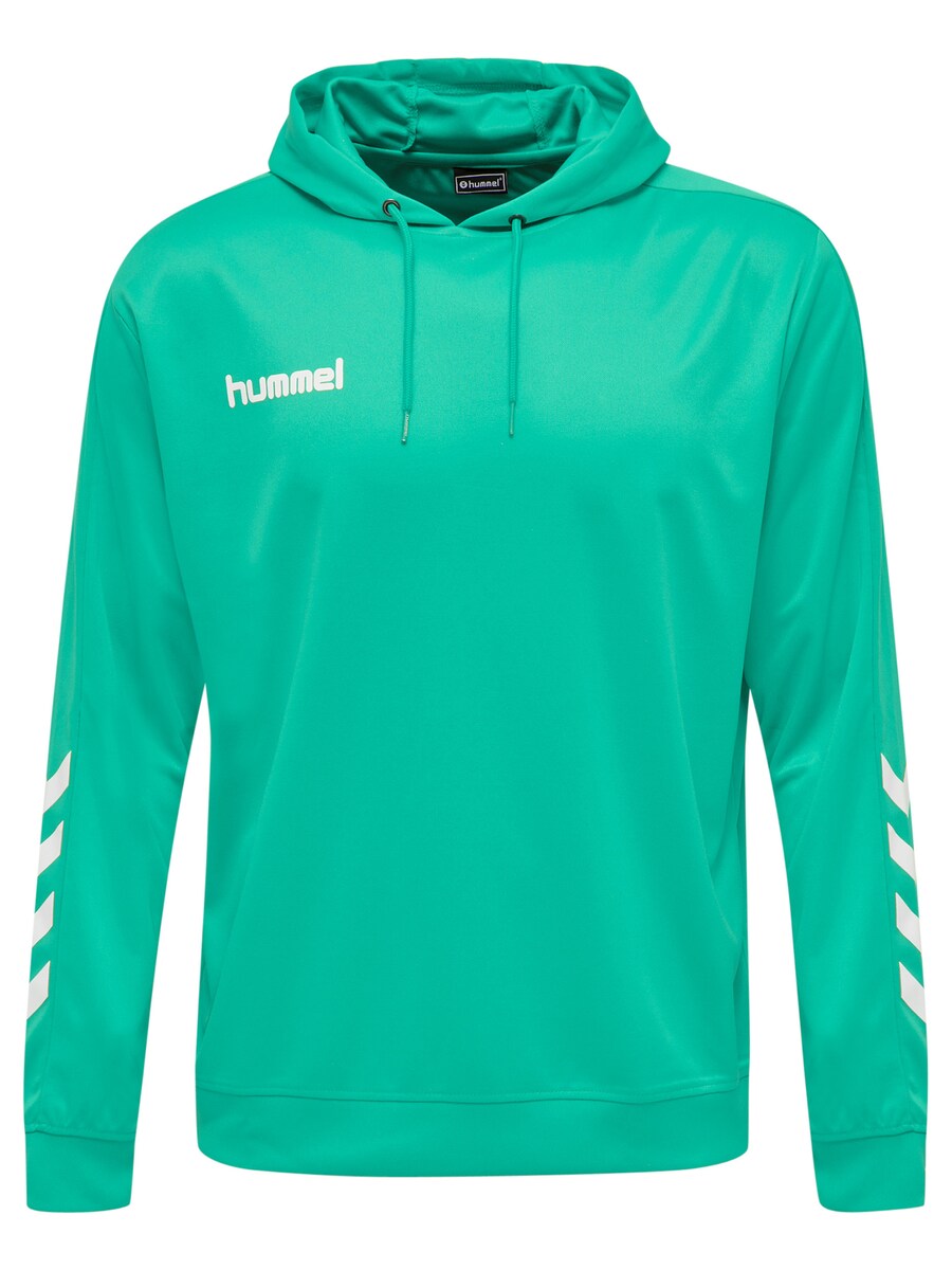 Спортивная толстовка Hummel Poly, бирюзовый
Спортивная толстовка Hummel Poly, бирюзовый