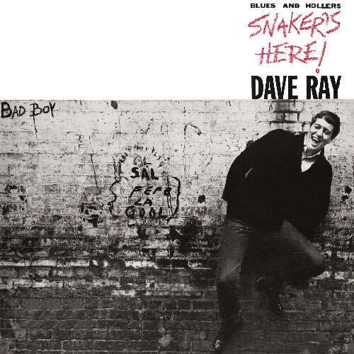 CD диск Ray, Dave: Snaker's Here
CD диск Ray, Dave: Snaker's Here