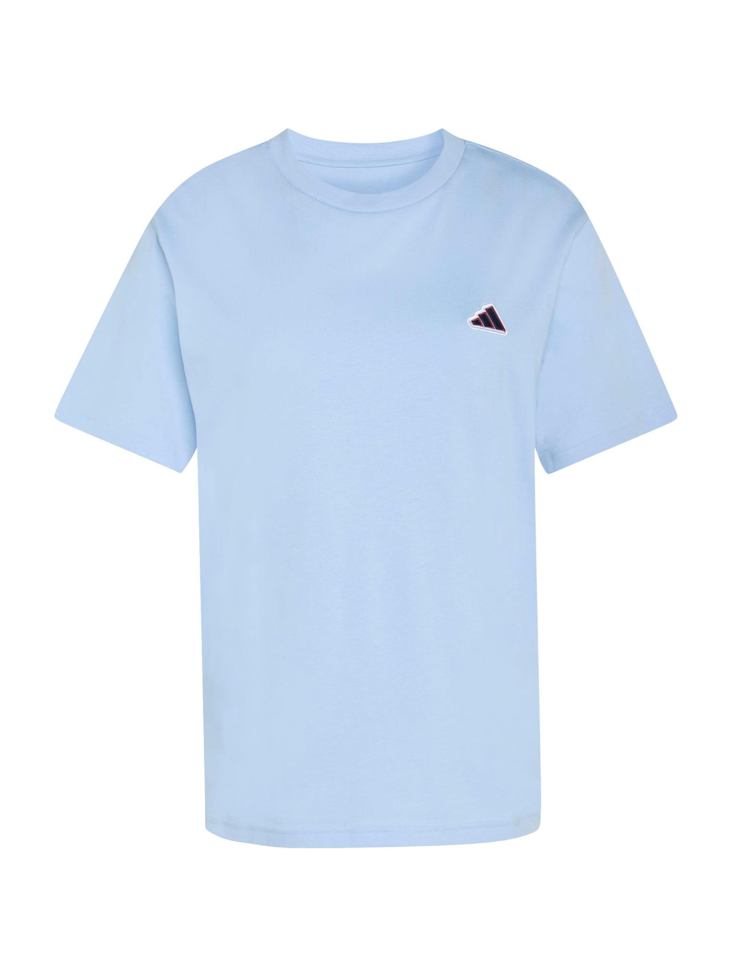 Adidas Sportswear Футболка Performance в светло-голубом цвете
Adidas Sportswear Футболка Performance в светло-голубом цвете