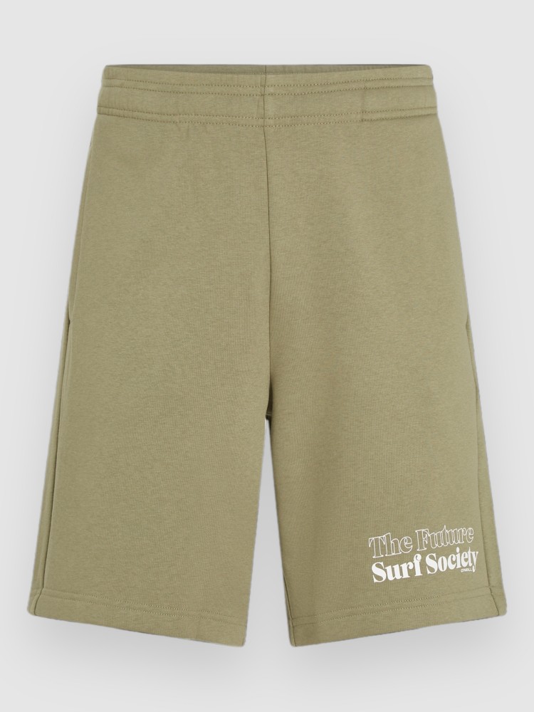 Шорты O'Neill The Future Surf Society Shorts, avery fern
Шорты O'Neill The Future Surf Society Shorts, avery fern