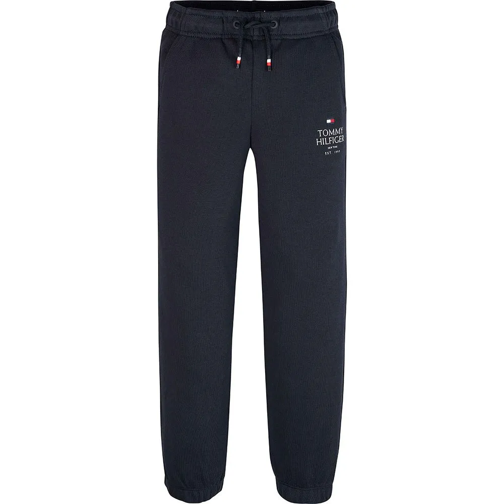 Брюки Tommy Hilfiger Logo Puff Print sweat, черный
Брюки Tommy Hilfiger Logo Puff Print sweat, черный