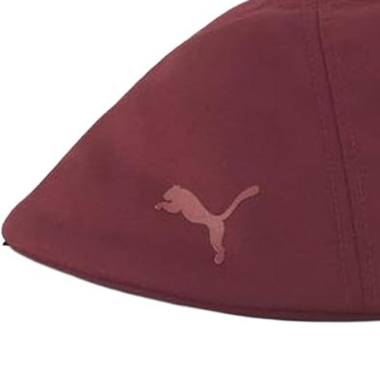 Футболка из полиэстера для мужчин красная PUMA
Футболка из полиэстера для мужчин красная PUMA