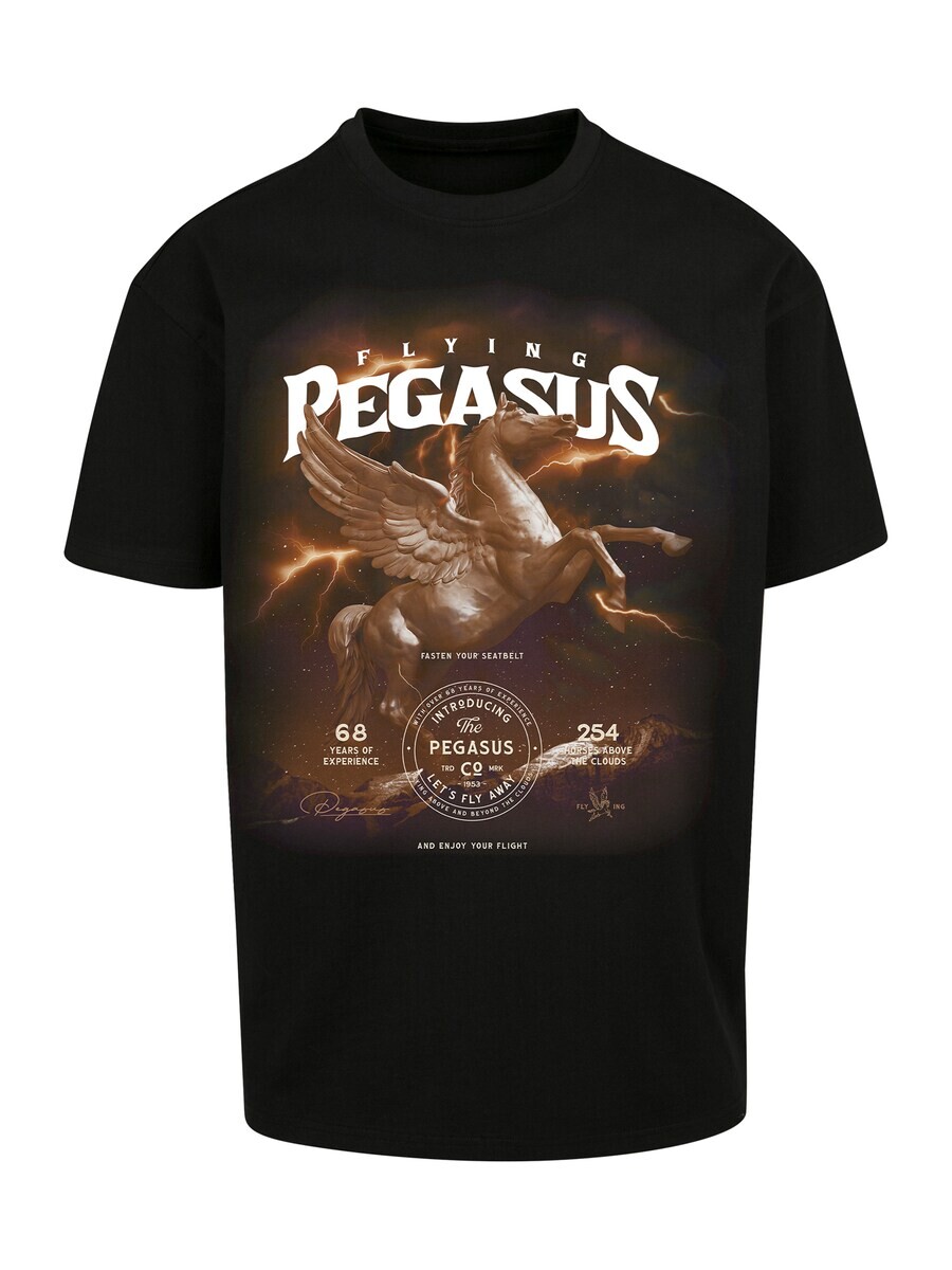 Футболка Mister Tee PEGASUS, черный
Футболка Mister Tee PEGASUS, черный