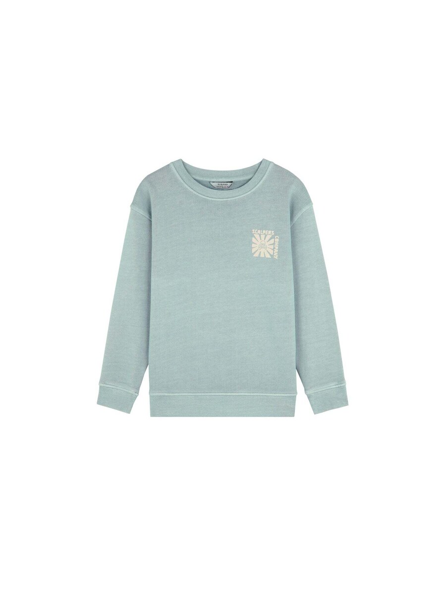 Толстовка Scalpers Vibes, пастельный зеленый
Толстовка Scalpers Vibes, пастельный зеленый