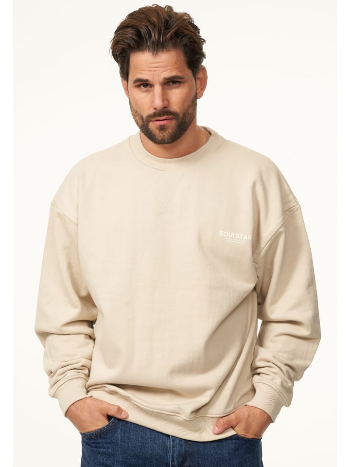 Толстовка SOULSTAR, серый
Толстовка SOULSTAR, серый