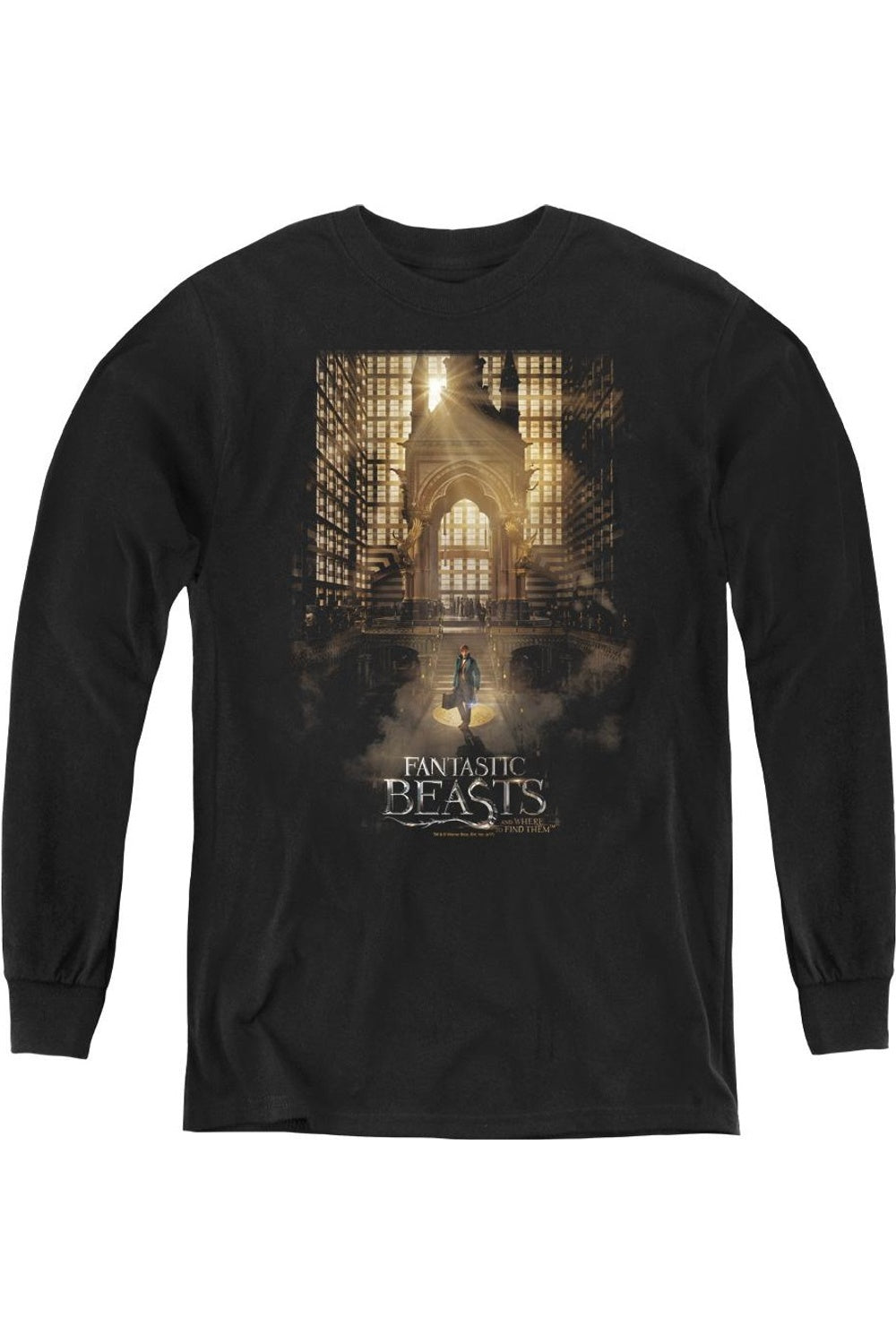 Футболка с длинным рукавом для подростков с принтом "Фантастические твари" Gildan, черный
Футболка с длинным рукавом для подростков с принтом "Фантастические твари" Gildan, черный