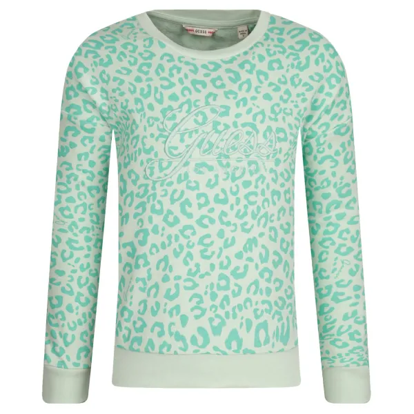 Толстовка обычного кроя Guess, зеленый
Толстовка обычного кроя Guess, зеленый