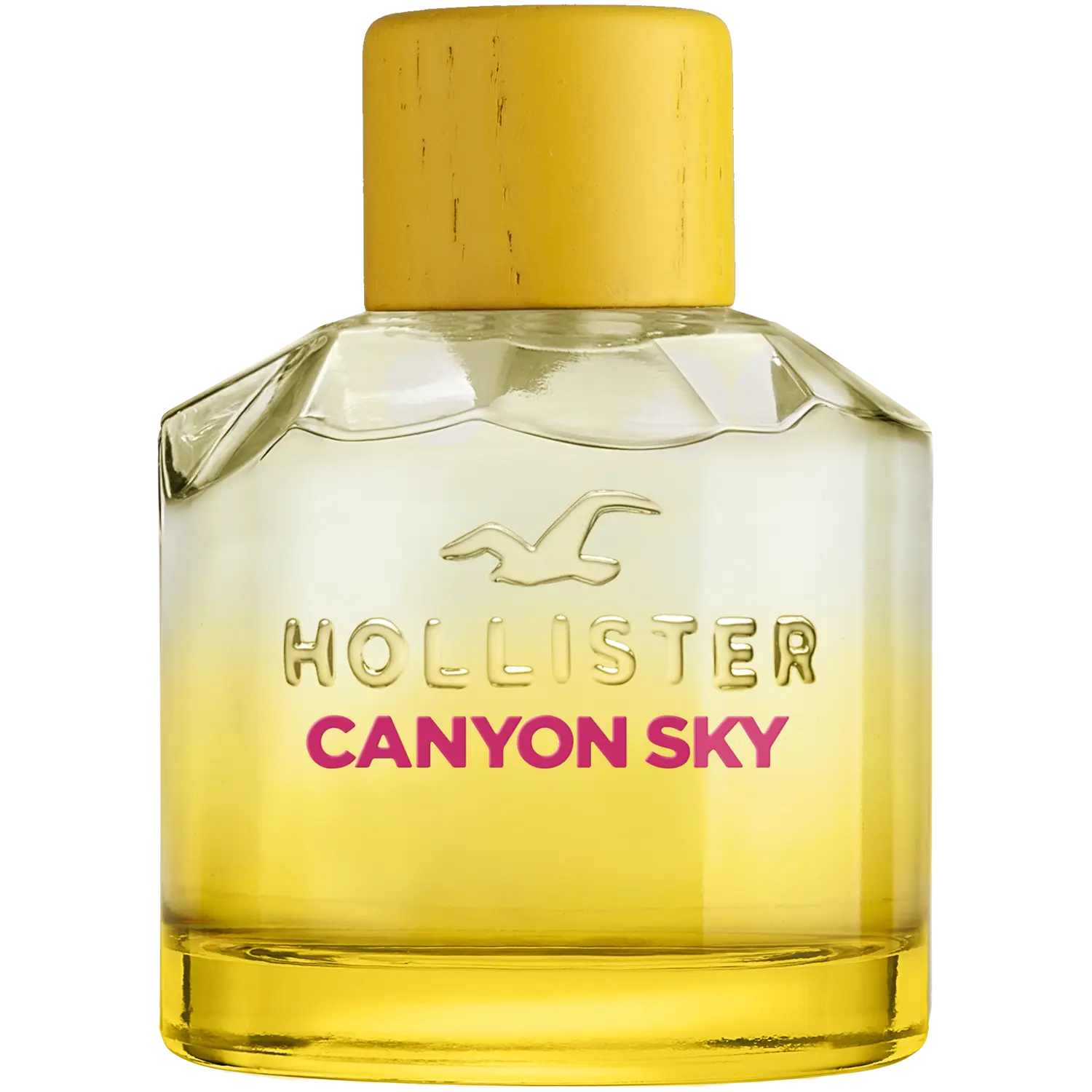 Женская парфюмированная вода Hollister Canyon Sky, 100 мл
Женская парфюмированная вода Hollister Canyon Sky, 100 мл