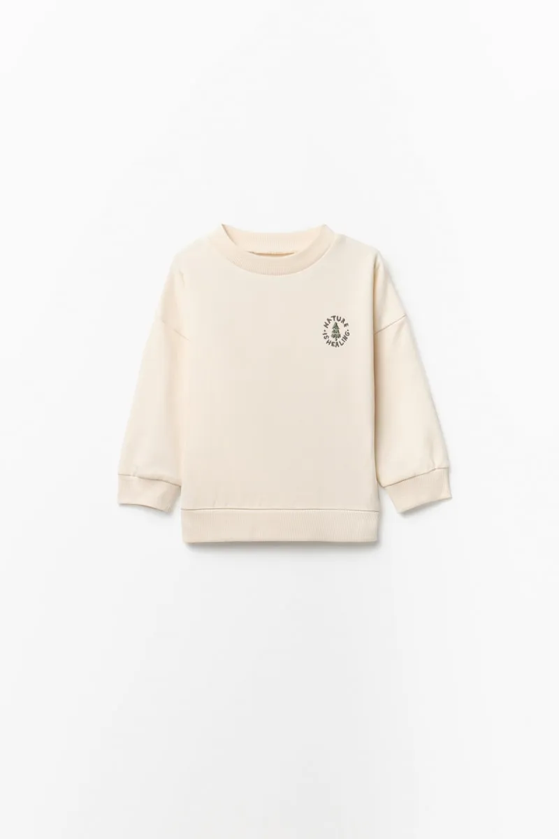 Однотонная толстовка с вышивкой Sfera, белый
Однотонная толстовка с вышивкой Sfera, белый