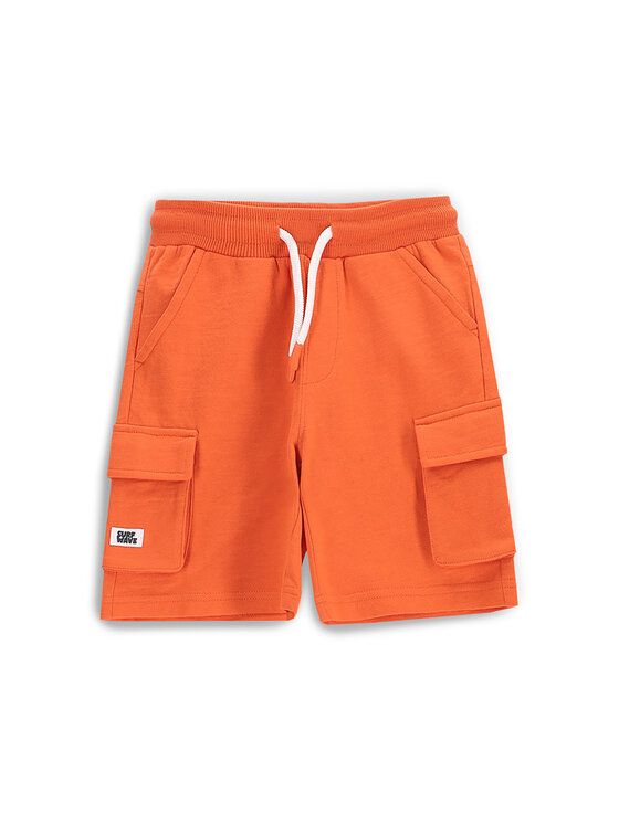 Спортивные шорты обычного кроя WC5120501HBK Coccodrillo, оранжевый
Спортивные шорты обычного кроя WC5120501HBK Coccodrillo, оранжевый