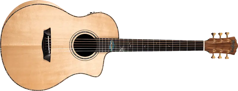 Акустическая гитара Washburn Bella Tono Studio 56 CE
Акустическая гитара Washburn Bella Tono Studio 56 CE