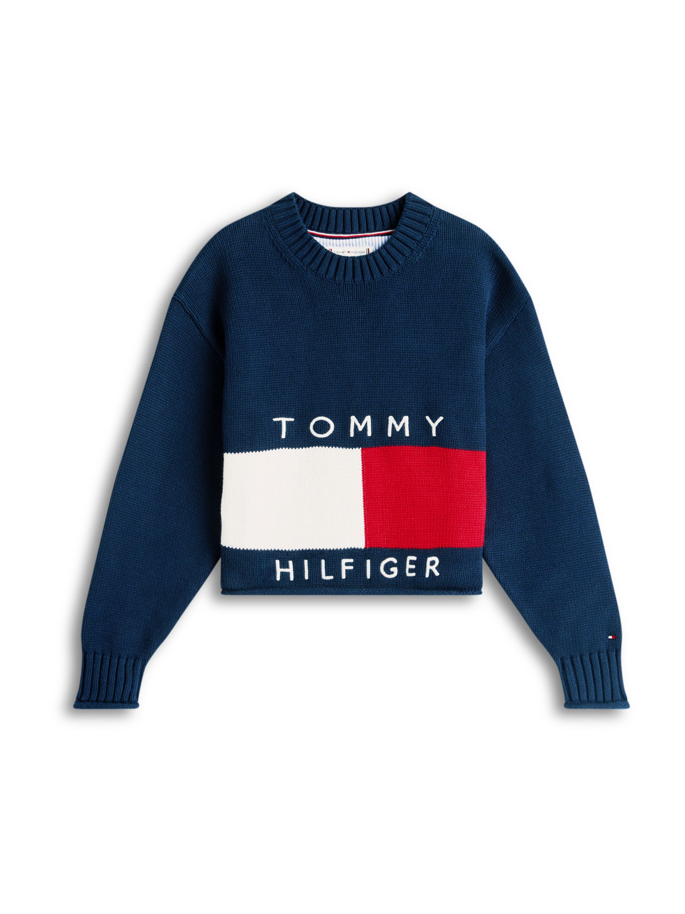 TOMMY HILFIGER Свитер 'HERITAGE' в цвете Navy
TOMMY HILFIGER Свитер 'HERITAGE' в цвете Navy