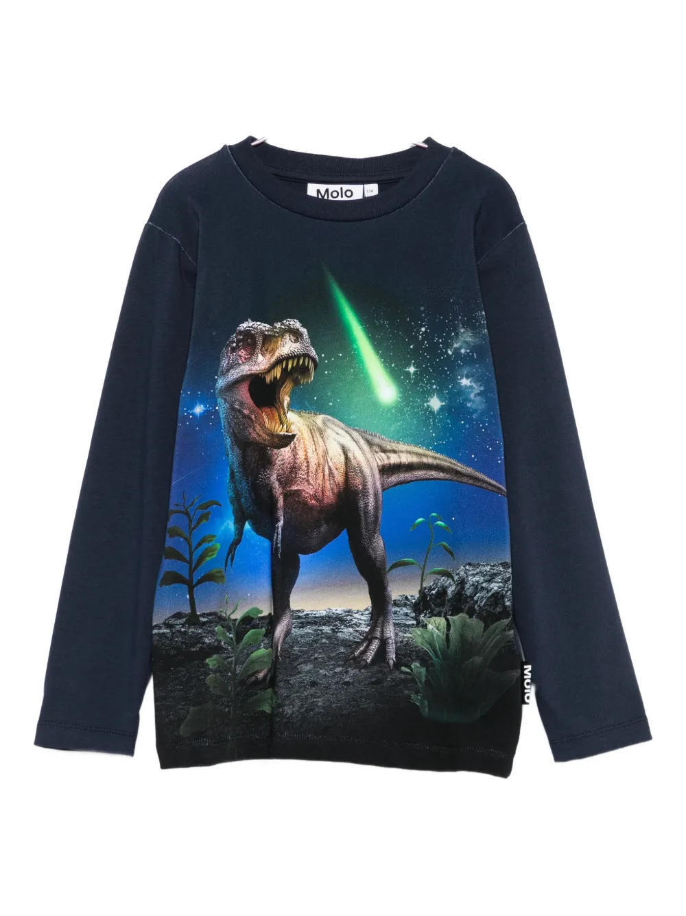 Топ с длинными рукавами в виде динозавра-метеора Molo, синий
Топ с длинными рукавами в виде динозавра-метеора Molo, синий