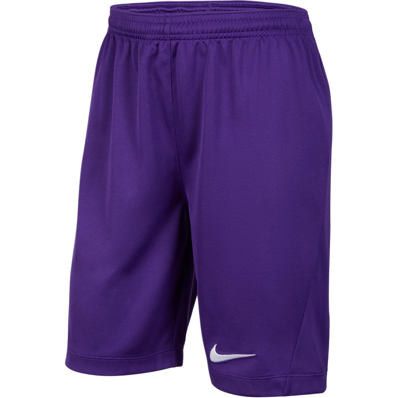 Nike Dri Fit SS25 шорты Garden Purple
Nike Dri Fit SS25 шорты Garden Purple