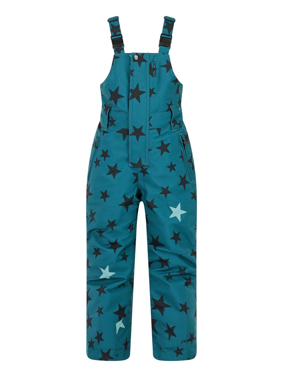 Обычные спортивные штаны PROTEST PRTTuvai TD, синий
Обычные спортивные штаны PROTEST PRTTuvai TD, синий