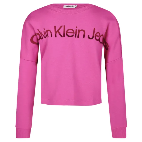 Толстовка обычного кроя Calvin Klein, розовый
Толстовка обычного кроя Calvin Klein, розовый