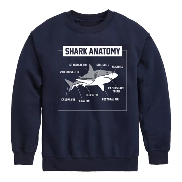 Флисовая толстовка с изображением анатомии акулы для мальчиков 8-20 лет Licensed Character, синий
Флисовая толстовка с изображением анатомии акулы для мальчиков 8-20 лет Licensed Character, синий