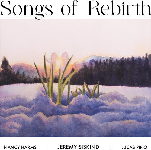 CD диск Siskind, Jeremy: Songs Of Rebirth
CD диск Siskind, Jeremy: Songs Of Rebirth